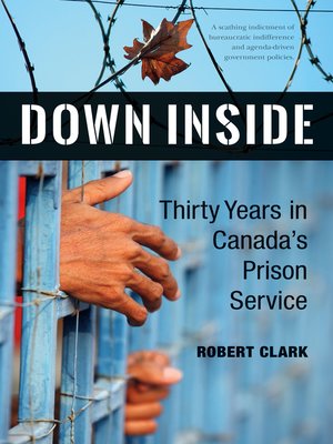 cover image of Down Inside